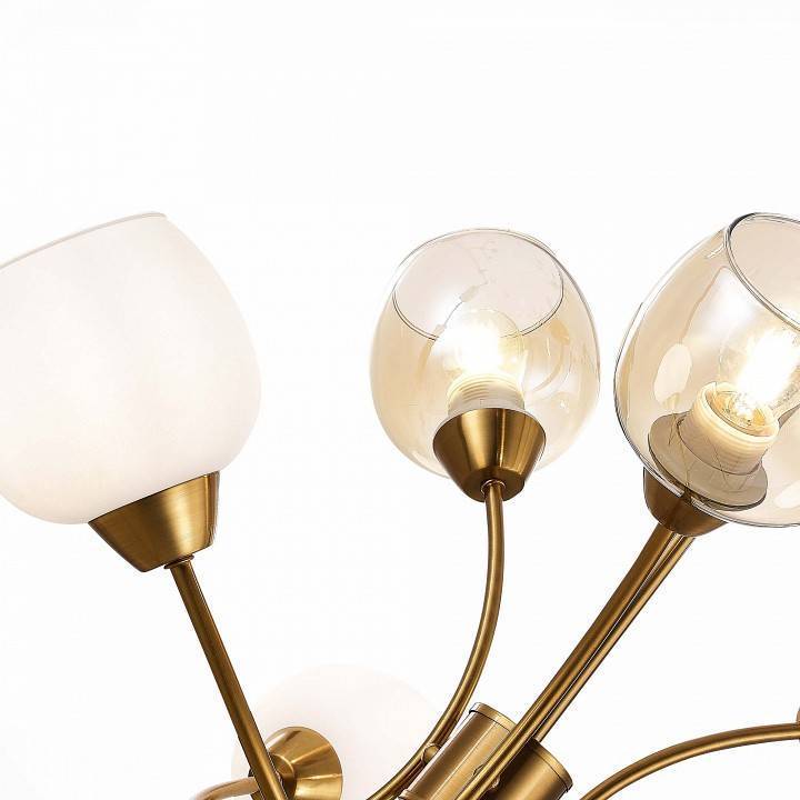 Люстра на штанге EVOLUCE Tratti 6 ламп SLE1136-302-06