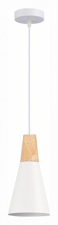 Подвесной светильник EVOLUCE Modica SLE125153-01