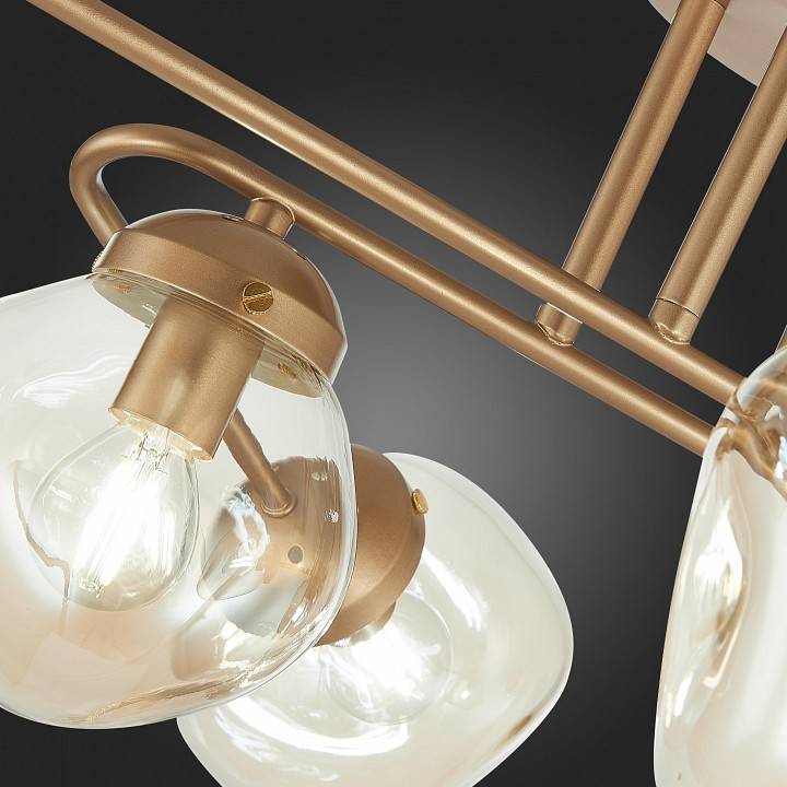 Люстра на штанге EVOLUCE More 6 ламп E14 SLE155702-06