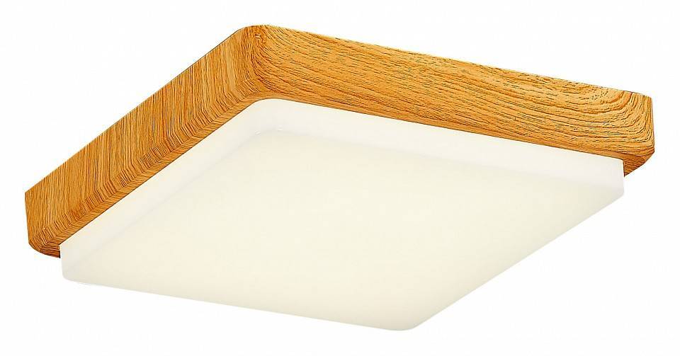 Накладной светильник EVOLUCE Taddio 1 x E27 SLE200202-01