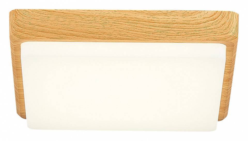 Накладной светильник EVOLUCE Taddio 1 x E27 SLE200202-01