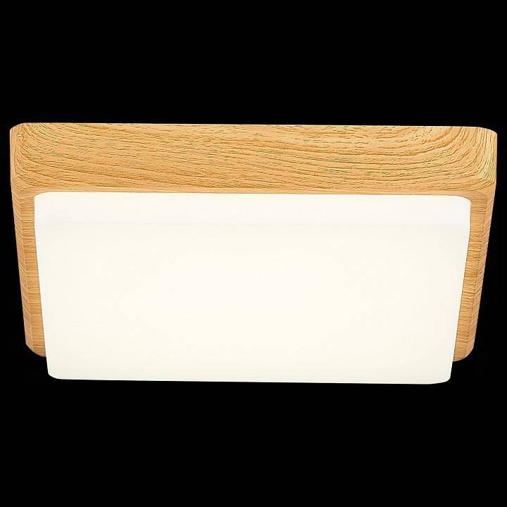 Накладной светильник EVOLUCE Taddio 1 x E27 SLE200202-01