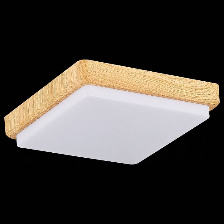 Накладной светильник EVOLUCE Taddio 1 x E27 SLE200202-01