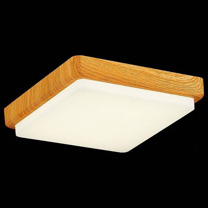 Накладной светильник EVOLUCE Taddio 1 x E27 SLE200202-01