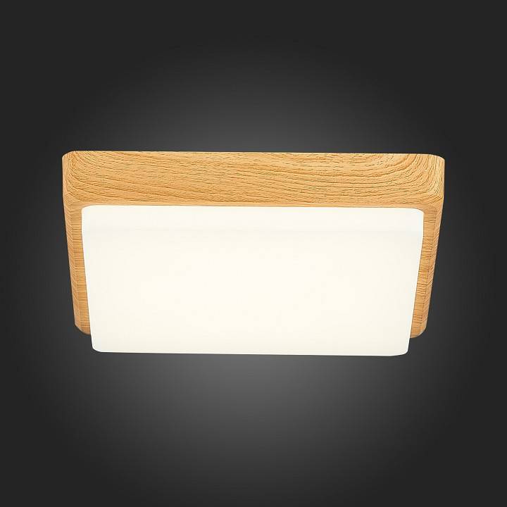 Накладной светильник EVOLUCE Taddio 1 x E27 SLE200202-01