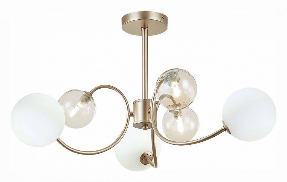 Люстра на штанге EVOLUCE Formae 6 ламп SLE220922-06