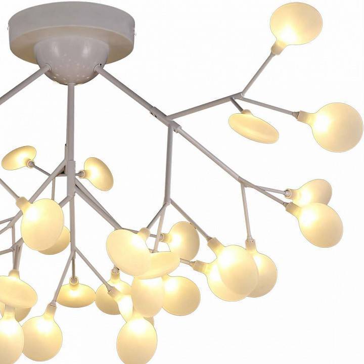 Потолочная светодиодная люстра EVOLUCE Avola SLE250102-36