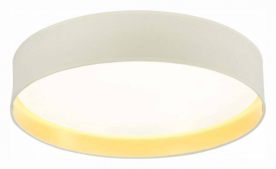 Накладной светильник EVOLUCE Brescia SLE300552-01