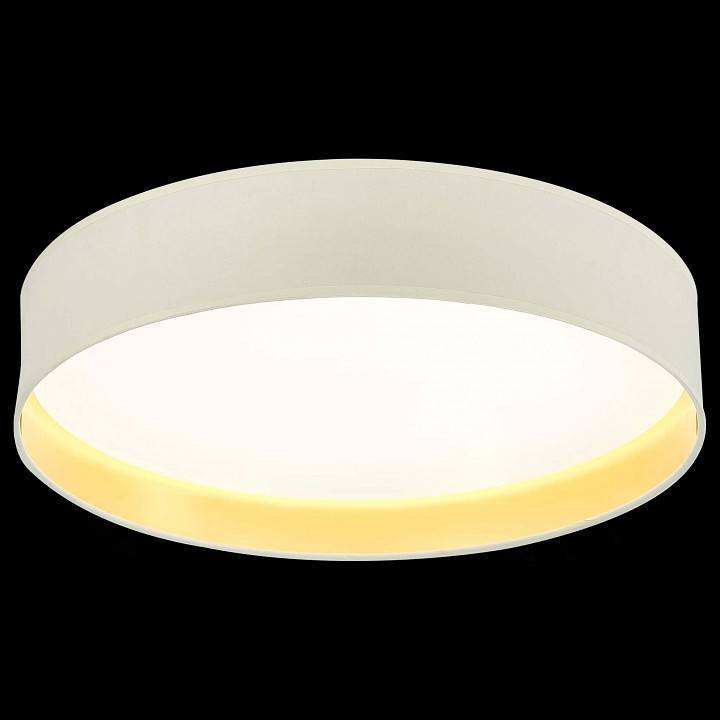 Накладной светильник EVOLUCE Brescia SLE300552-01