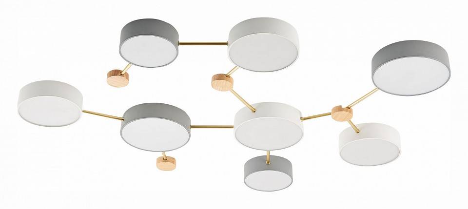 Накладной светильник EVOLUCE Dossena SLE600102-08