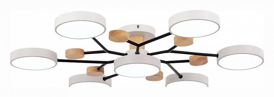 Потолочная люстра EVOLUCE Faema 7 ламп SLE6006-502-07