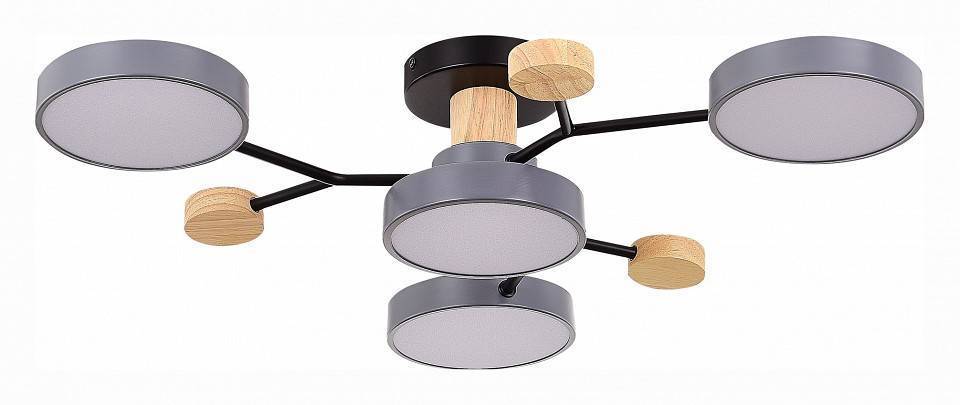 Потолочная люстра EVOLUCE Faema 4 лампы SLE6006-702-04