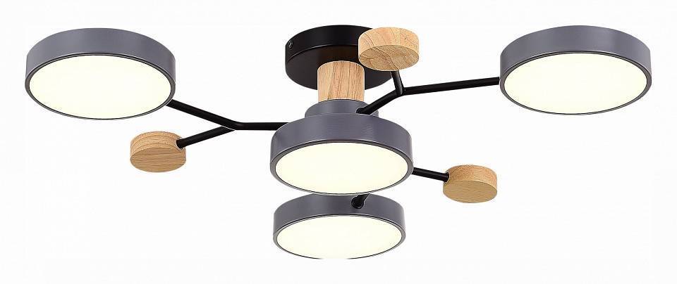 Потолочная люстра EVOLUCE Faema 4 лампы SLE6006-702-04