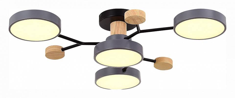 Потолочная люстра EVOLUCE Faema 4 лампы SLE6006-702-04