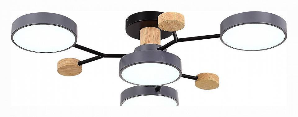 Потолочная люстра EVOLUCE Faema 4 лампы SLE6006-702-04