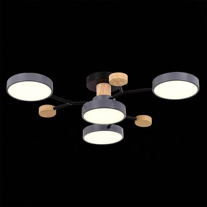 Потолочная люстра EVOLUCE Faema 4 лампы SLE6006-702-04