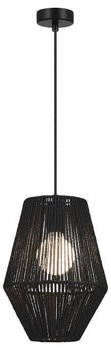 Подвесной светильник EVOLUCE ETTAN 1хE27 SLE6025-413-01