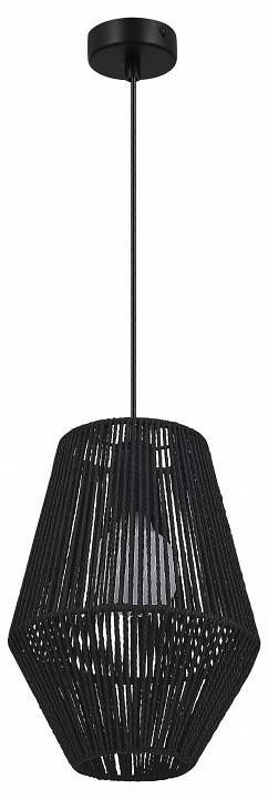 Подвесной светильник EVOLUCE ETTAN 1хE27 SLE6025-413-01