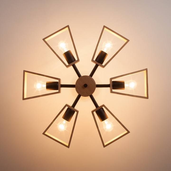 Потолочная люстра Eurosvet Klark 70056/6 черный