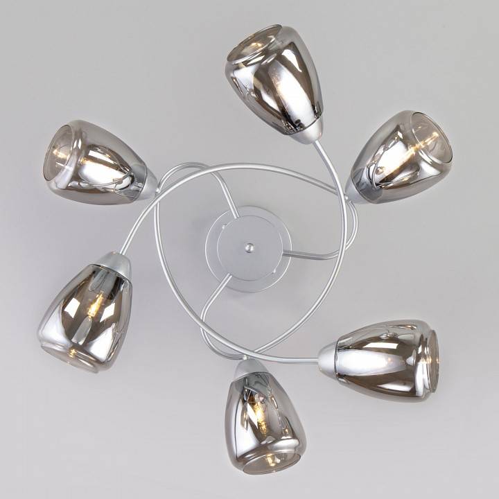 Потолочная люстра Eurosvet Noemi 30168/6 матовое серебро 30168/6