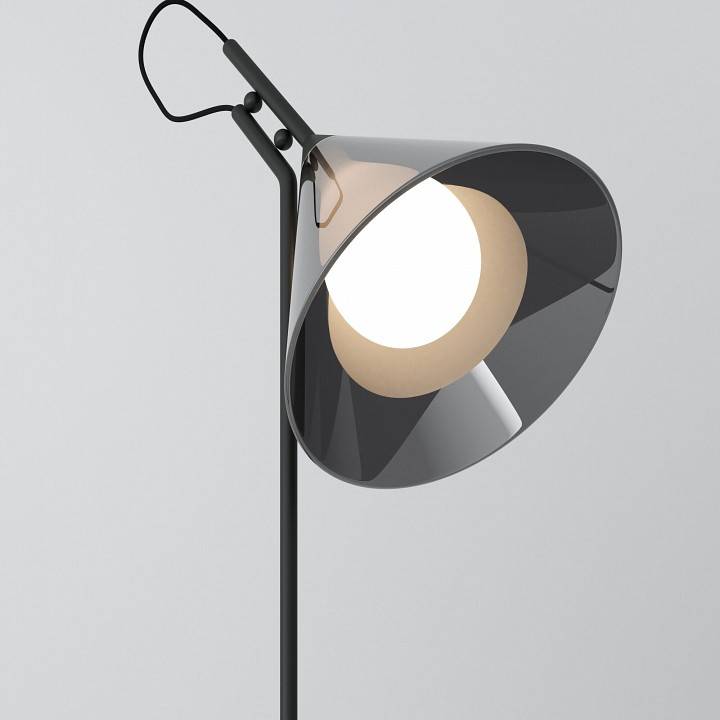 Настольная лампа декоративная Eurosvet Enigma 01186/1 черный