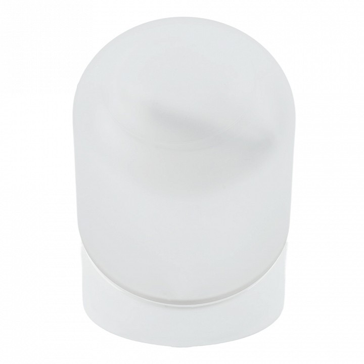 Накладной светильник Feron НББ 01-60-102 53165