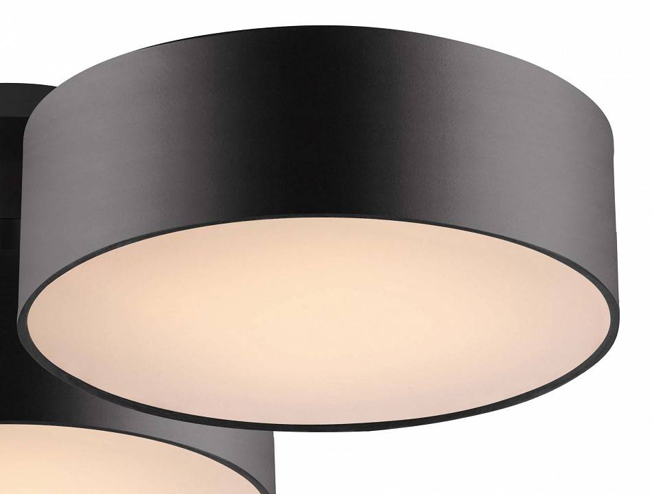 Потолочная люстра Favourite Cerchi 1514-6C