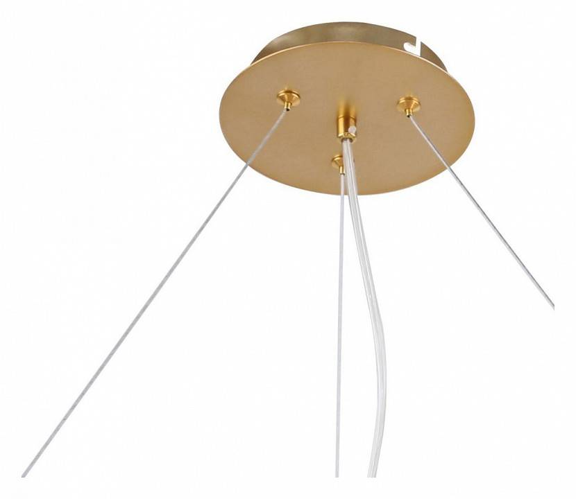 Подвесная люстра F-promo Bliss 2771-12P