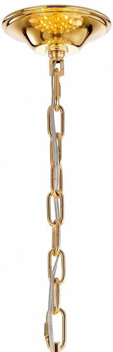 Подвесная люстра Favourite Intera 2983-21P