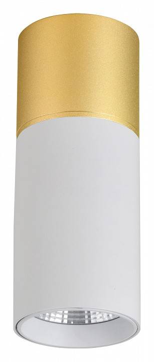 Накладной светильник Favourite Deepak 3073-1C