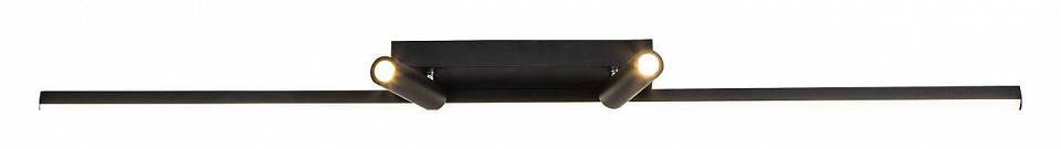 Люстра потолочная Favourite Reticenza 4089-2C