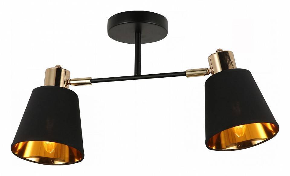 Потолочный светильник ILLUMICO Abelie IL6116-2COU-79 BK GD