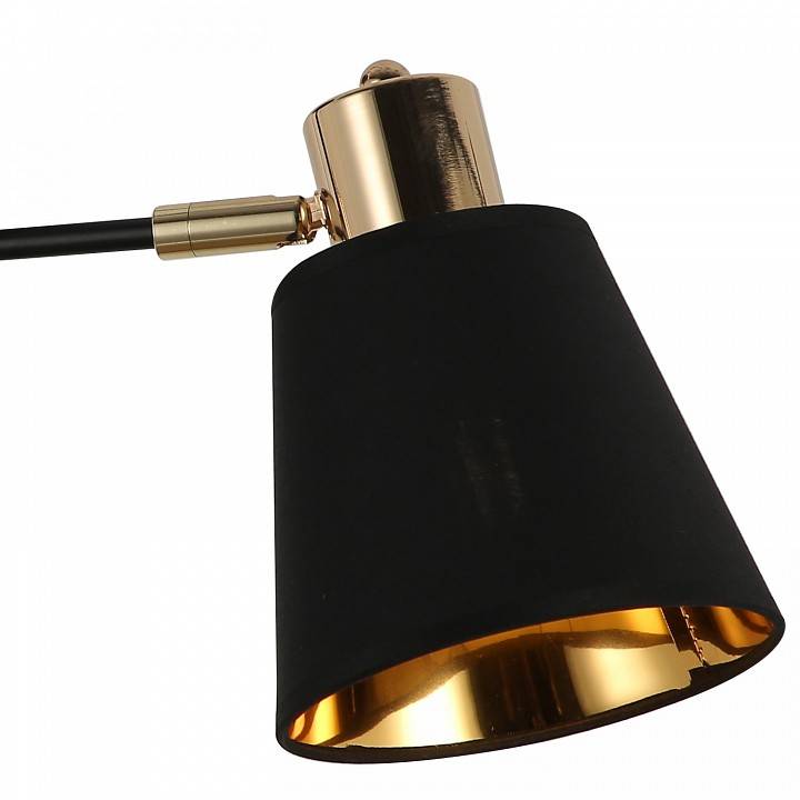 Потолочный светильник ILLUMICO Abelie IL6116-2COU-79 BK GD