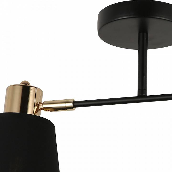 Потолочный светильник ILLUMICO Abelie IL6116-2COU-79 BK GD