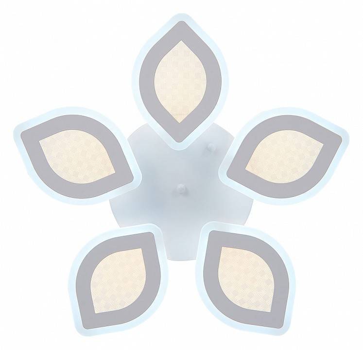 Потолочная люстра Natali Kovaltseva  LED LAMPS 81167