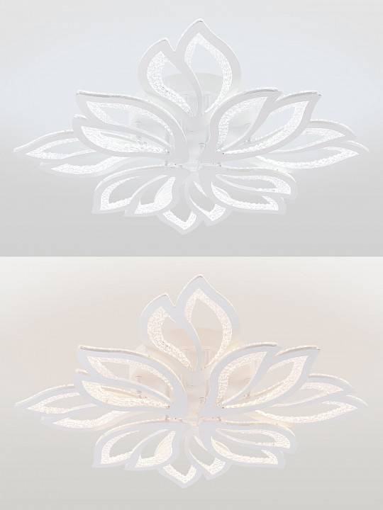 Потолочная люстра Natali Kovaltseva Fortuna LED LAMPS 81109/7C