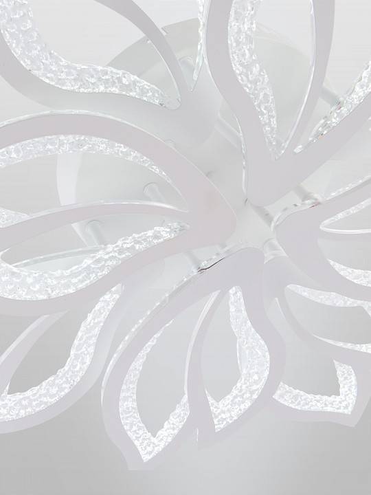 Потолочная люстра Natali Kovaltseva Fortuna LED LAMPS 81109/7C