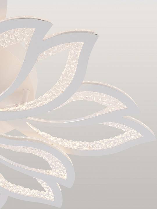 Потолочная люстра Natali Kovaltseva Fortuna LED LAMPS 81109/7C