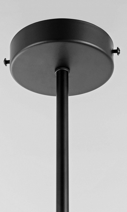 Светильник на штанге Lampit LEDO TP 2011-2 BK