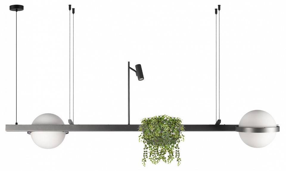 Подвесной светильник Loft It Jardin 10121/D Dark grey