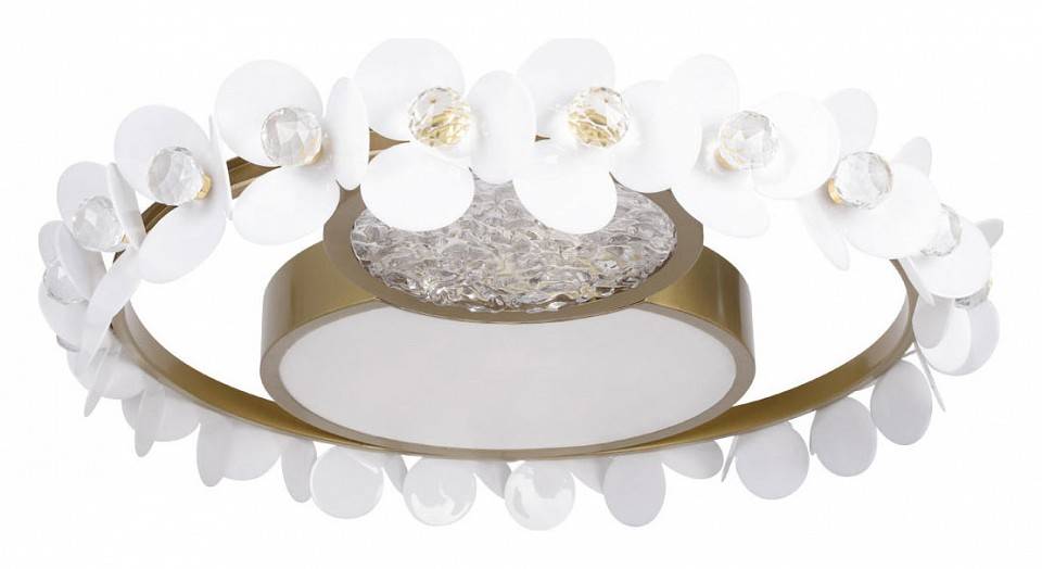 Накладной светильник Loft It Bride 10174