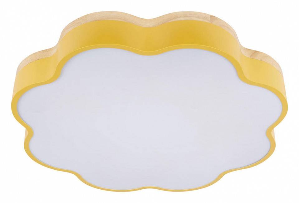 Накладной светильник Loft it Axel 10225/36 Yellow