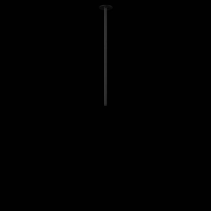 Встраиваемый светильник на штанге Loft it Cane 10359/600 Black