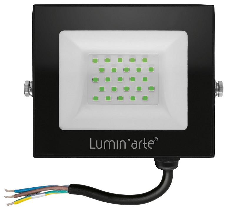 Настенно-потолочный прожектор Luminarte LFL LFL-30W/07