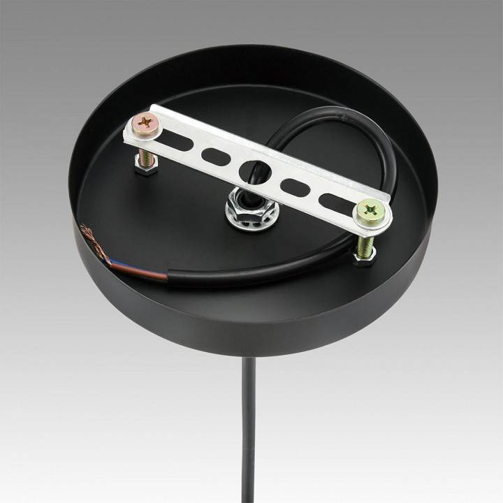 Подвесной светильник Lumion Elenika 8056/1А