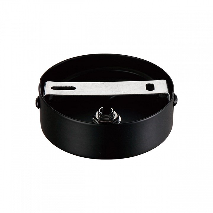 Подвесной светильник Lumion GLORIYA 8273/1A