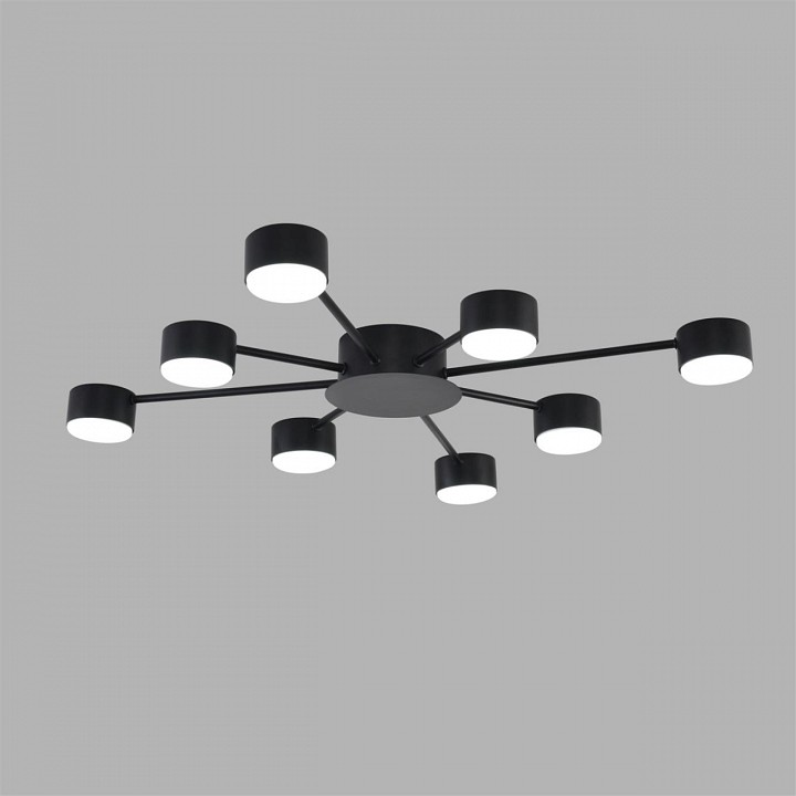 Потолочная люстра Lumion TORINA 8344/8C