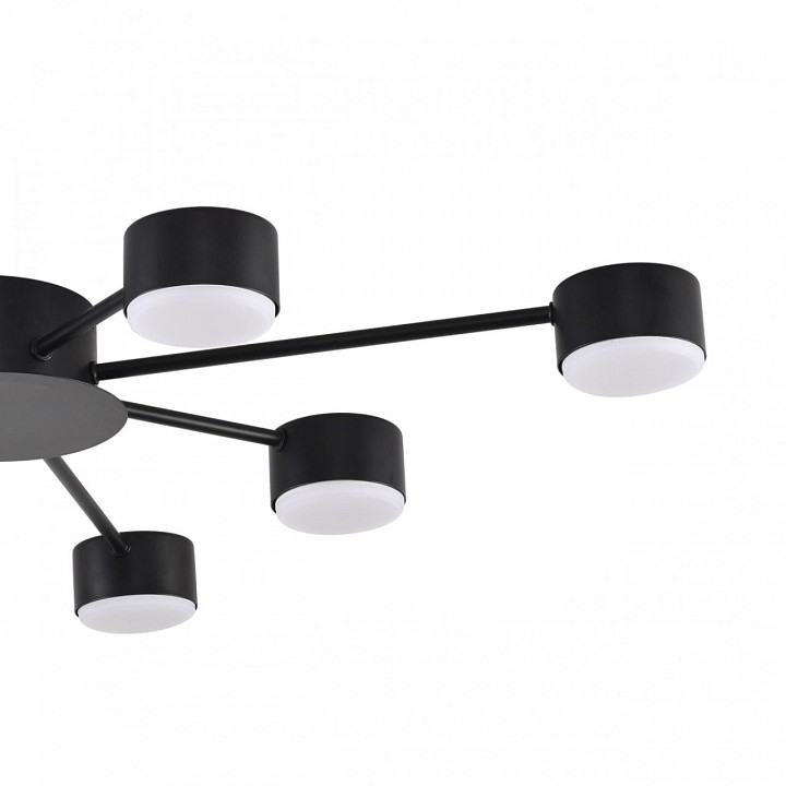 Потолочная люстра Lumion TORINA 8344/8C