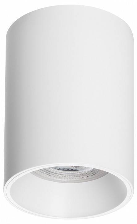 Накладной светильник Lightstar Rullo 213436