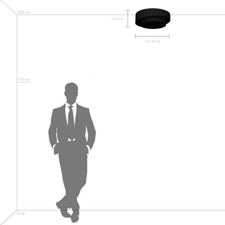 Светильник накладной Lightstar Celesta 809416